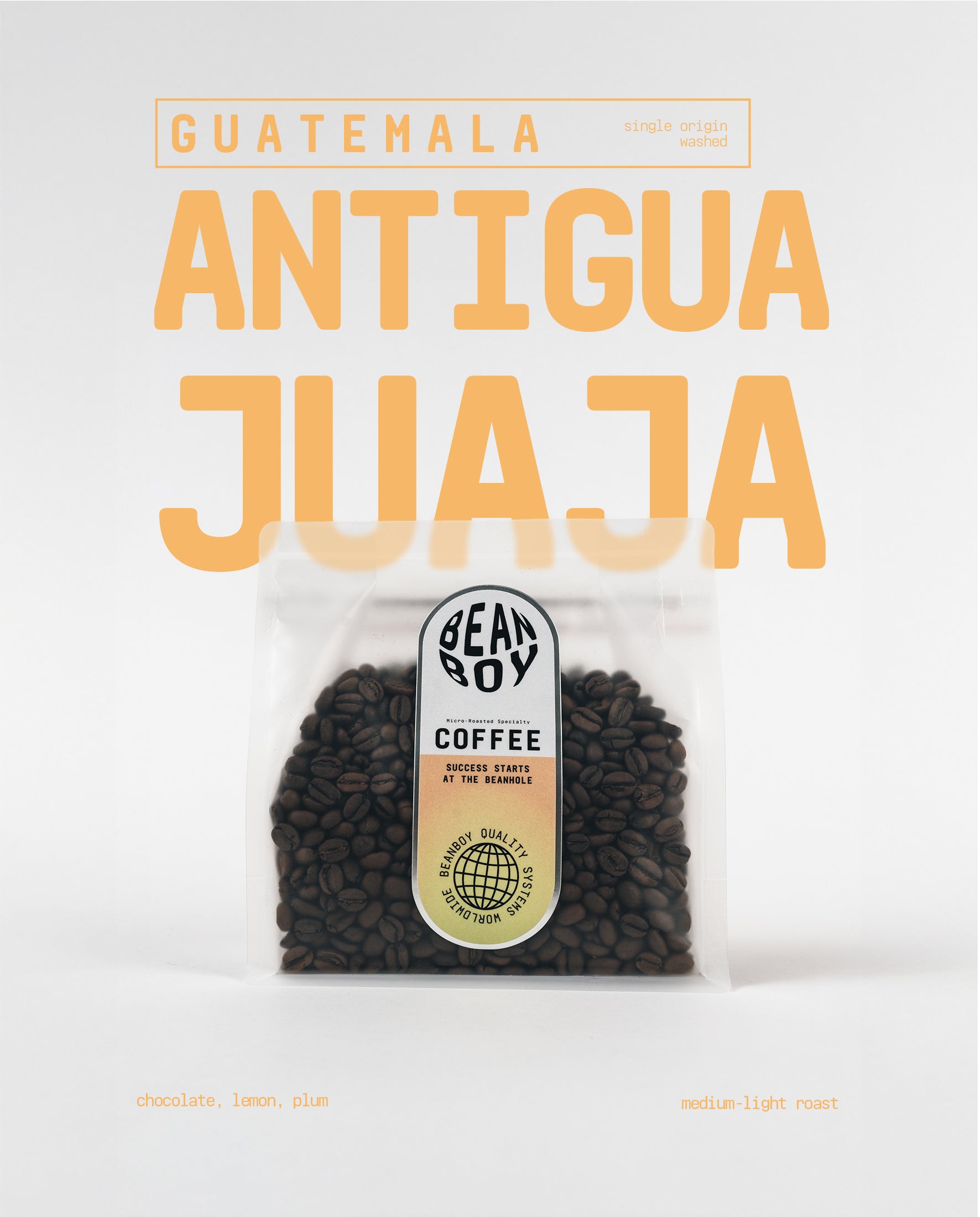 Beanboy Antigua Juaja : Guatemala