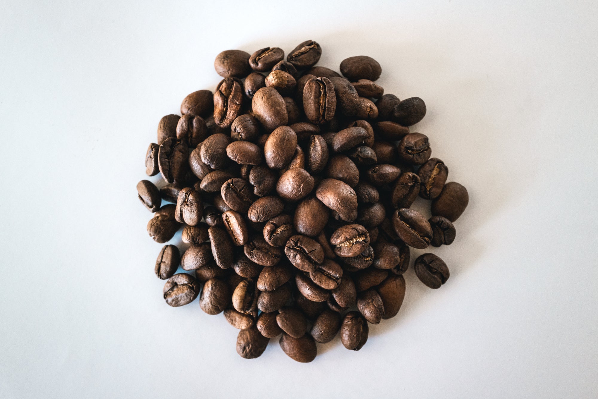 NEW: Beanboy Cerro Las Ranas : El Salvador