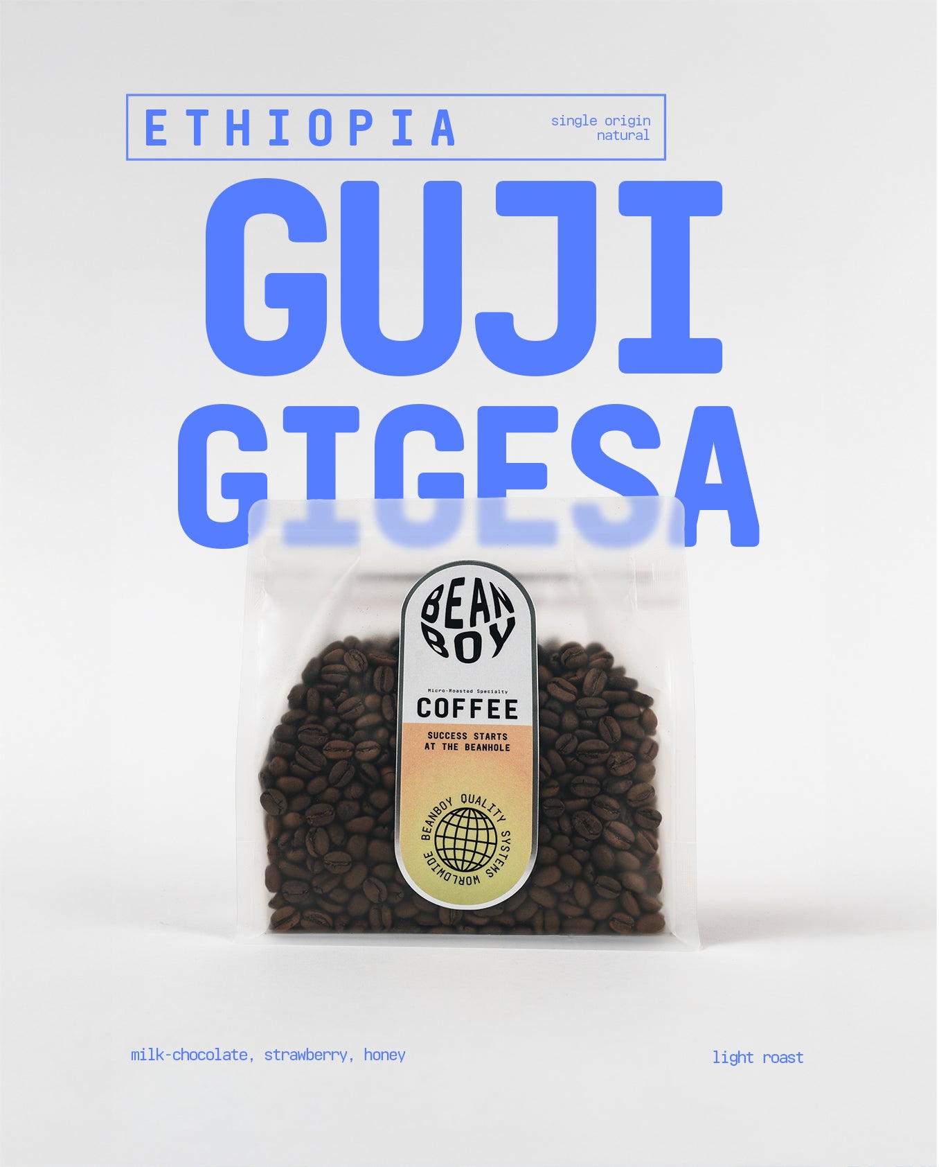 NEW ARRIVAL! Beanboy Guji Gigesa : Ethiopia