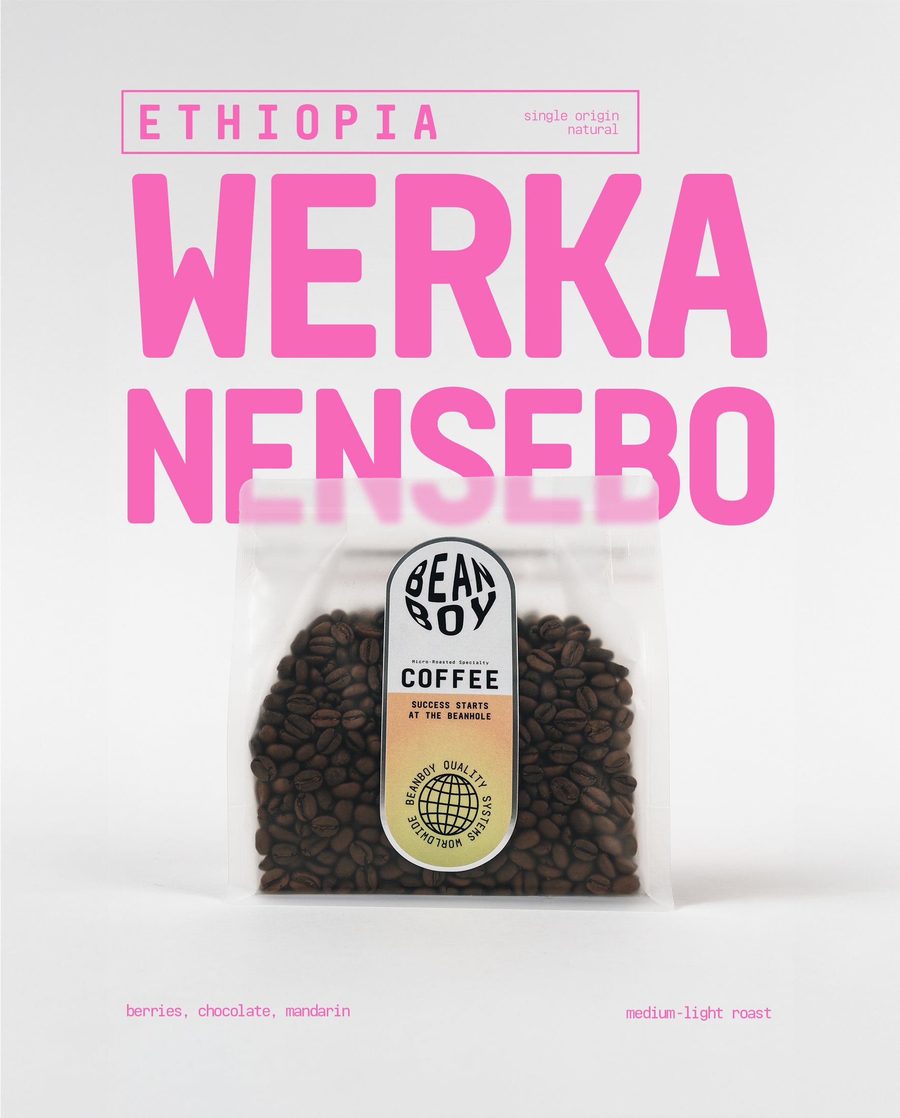Beanboy Werka Nensebo : Ethiopia